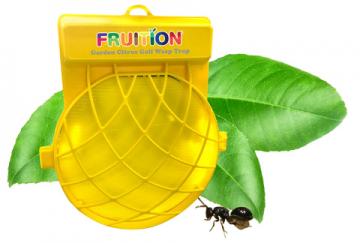 FRUITION<sup>®</sup> Garden Citrus Gall Wasp Trap