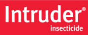 Intruder logo