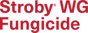 Stroby logo