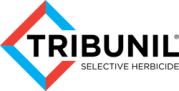 Tribunil logo